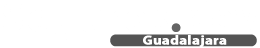 logo guadalajara.Seguros.dev