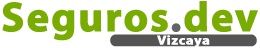 logo vizcaya.Seguros.dev
