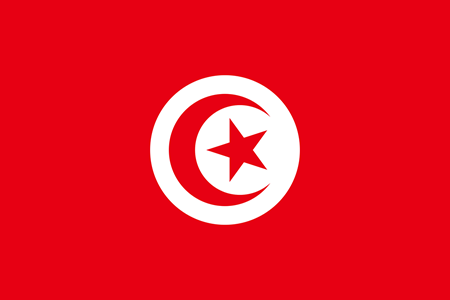 Seguros de viajes a Túnez